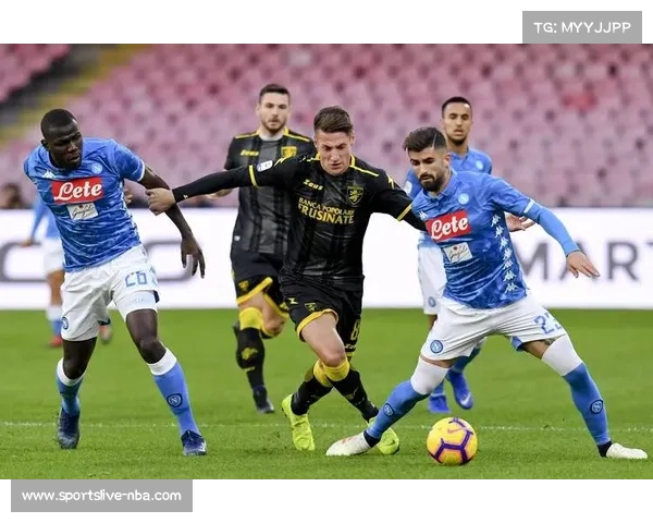 博洛尼亚新球场计划遇阻，市政府寻求私人投资合作